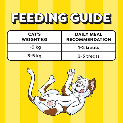 Temptations Creamy Purrrrr-ée Lickable Cat Treats, Chicken & Tuna Flavour, 48 G, Made with Real Fish, Goodness of Protein, Vitamins & Minerals,All Life Stages