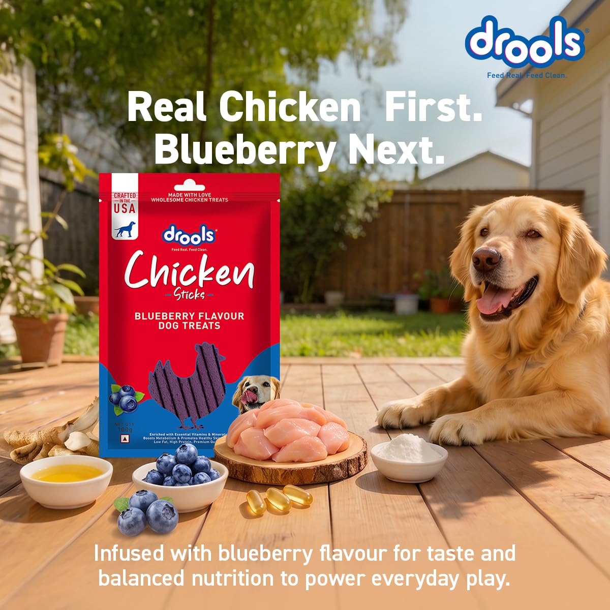 Drools Puppy & Adult Dog Treats Sticks 100g | Blueberry Flavour | Rich in Protein | No Artificial Preservatives | Best for Training & Bonding | Formulated in USA | Premium Treats