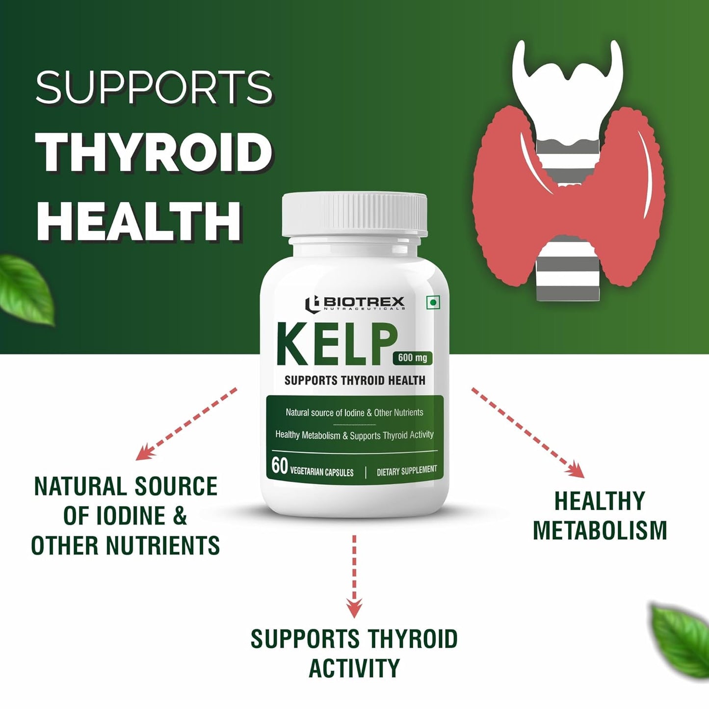 Biotrex Nutraceuticals Kelp Extract 600mg | Richest Vegan Source of Iodine | Supports Thyroid Health & Healthy Metabolism with Soluble Fiber - 60 Veg Capsules