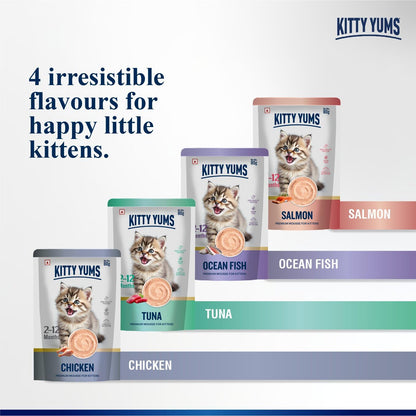 Kitty Yums Kitten Wet Mousse 80g | Salmon | Rich in Protein | Promotes Hydration & Easy to Digest | Grain Free | No Artificial Flavours | Packed with Essential Vitamins & Antioxidants