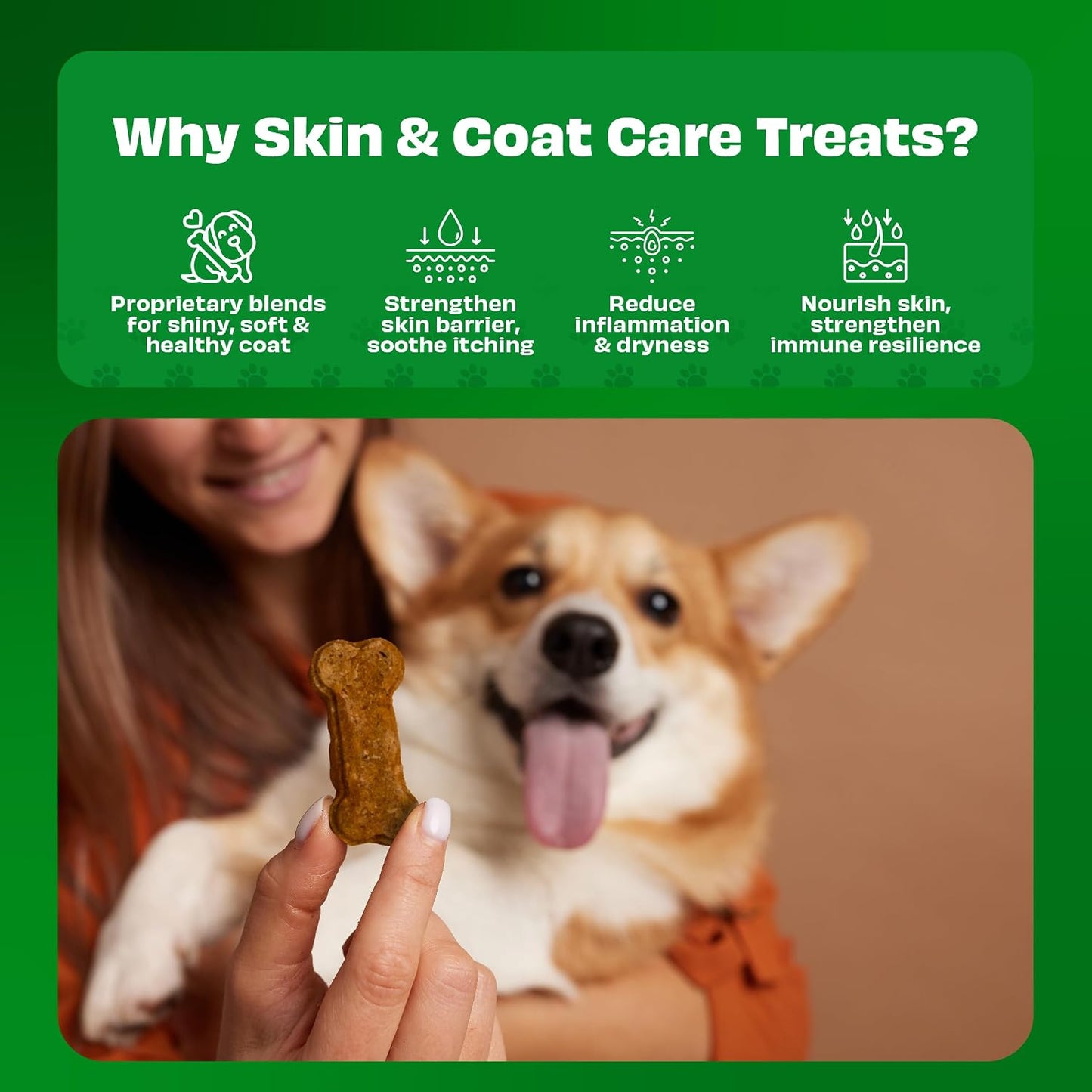 Pawfect Cheesecuits - Cheese Biscuits with Pineapple, Coconut & Eggs for Dogs - 100% Natural - Grain-Free - Hypoallergenic - Rich in Antioxidants - High-Protein Dog Training Treats (100g/3.53oz)