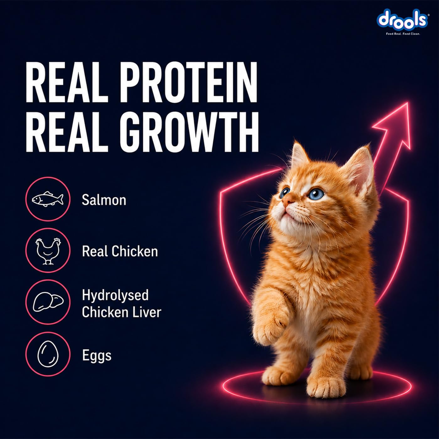 Drools Kitten Wet Mousse 80g | Salmon | High Protein | Promotes Hydration & Easy Digestion | Grain Free | No Artificial Additives | Enriched with Vitamins & Antioxidants
