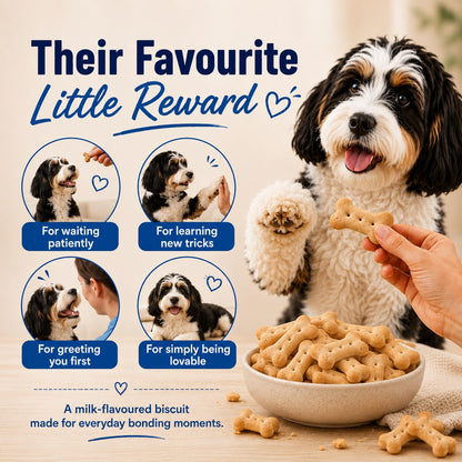Purepet Dog Treats Biscuits 800g Pack | Milk Flavour | Active Behaviour | Oral Health | Training and Behaviour | Healthy Immune System (All Life Stages)