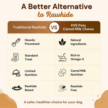 HYE Pets Camel Milk Dog Chews, Rawhide Free Long Lasting Dental Chews, High Protein Natural Dog Treats | Omega-3 Rich & Easily Digestible, Medium - 2 Chews