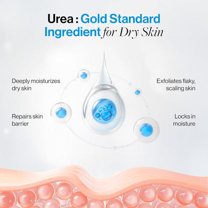 Be Bodywise 10% Urea Body Lotion 300ml | 48 Hour Dry Skin Relief | For Very Dry & Flaky Skin | With Ceramides, Kokum & Mango Seed Butter | Non-Greasy & Lightweight Formula