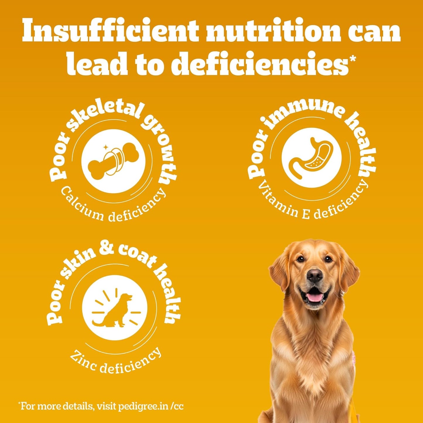 Pedigree Adult Dry Dog Food, Meat & Rice, 1 kg, Contains 37 Essential Nutrients, 100% Complete & Balanced Food for Adult Dogs