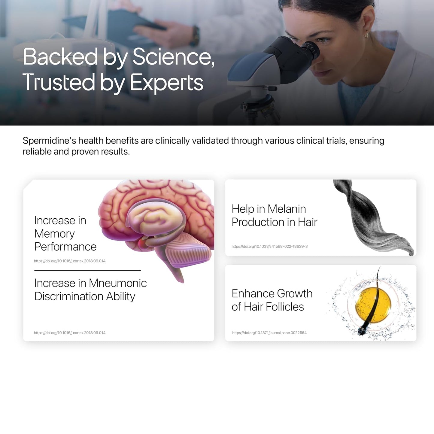 Advertisement for Spermidine with scientific claims and images of a brain and hair follicle.