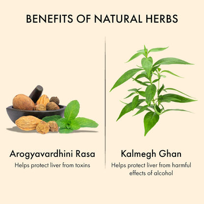 Click to see full view Dr. Vaidya's Livitup | Hangover Shield & Liver Protector | Helps Prevent Acidity, Nausea & Headache | Kalmegh Ghan & Arogyavardhini Rasa | (6 Capsules)