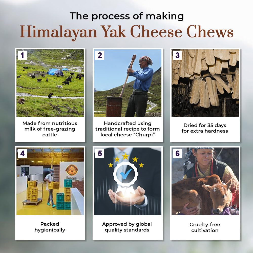 Dogsee Flavored Himalayan Yak Cheese Dental Chews for Dogs 140g (Medium - 2 Chews) | for Healthy Skin & Coat | No Grain, No Gluten | Odorless Dog Treats (Medium, BlackBerry)