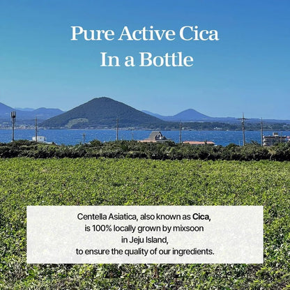 mixsoon Soondy Centella Asiatica Essence – Travel-Friendly Calming Essence 50ml