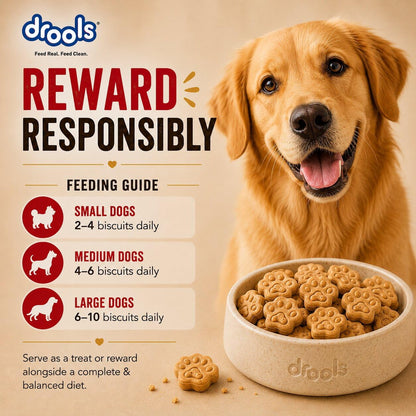 Drools All Life Stages Dog Treat Biscuits 400g Jar | Real Chicken Flavour | All Breed Formula | Promotes Lustrous Skin & Coat | Vitamins & Minerals | Reduces Tartar Build Up