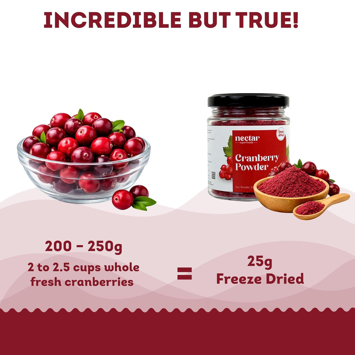 Nectar Superfoods Freeze-Dried Cranberry Powder, 25g | 100% Natural, No Added Sugar, Preservative-Free & Vegan | Rich in Antioxidants | Made in India | Smoothie, Baking & Health Drink Ingredient