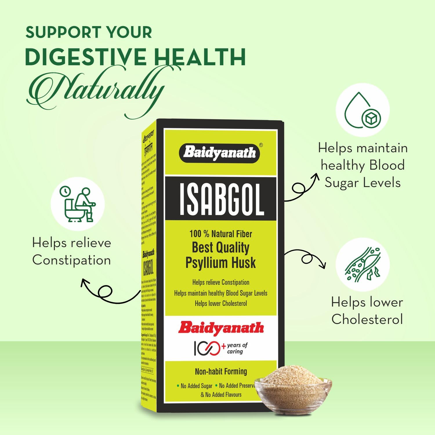 Baidyanath Isabgol packaging with health benefits on a green background