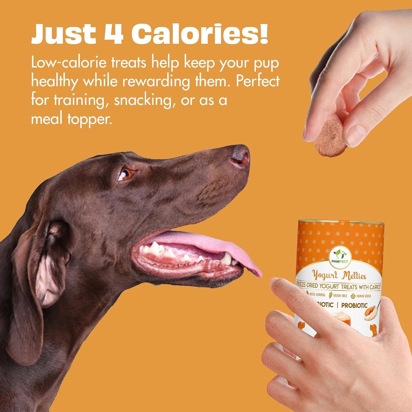 Pawfect Yogurt Melties Freeze Dried Pre and Probiotic Dog Treats with Carrot, Flaxseed, Pea & Sweet Potato - Healthy Gut - Low Calories - Grain & Gluten Free - Reward or Training Treats (38g/1.34oz)