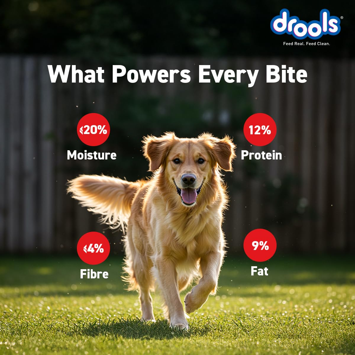 Drools Puppy & Adult Dog Treats Sticks 100g | Chicken & Milk Flavour | Rich in Protein | No Artificial Preservatives | Best for Training & Bonding | Formulated in USA | Premium Treats