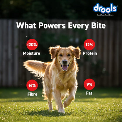 Drools Puppy & Adult Dog Treats Sticks 100g | Chicken & Milk Flavour | Rich in Protein | No Artificial Preservatives | Best for Training & Bonding | Formulated in USA | Premium Treats