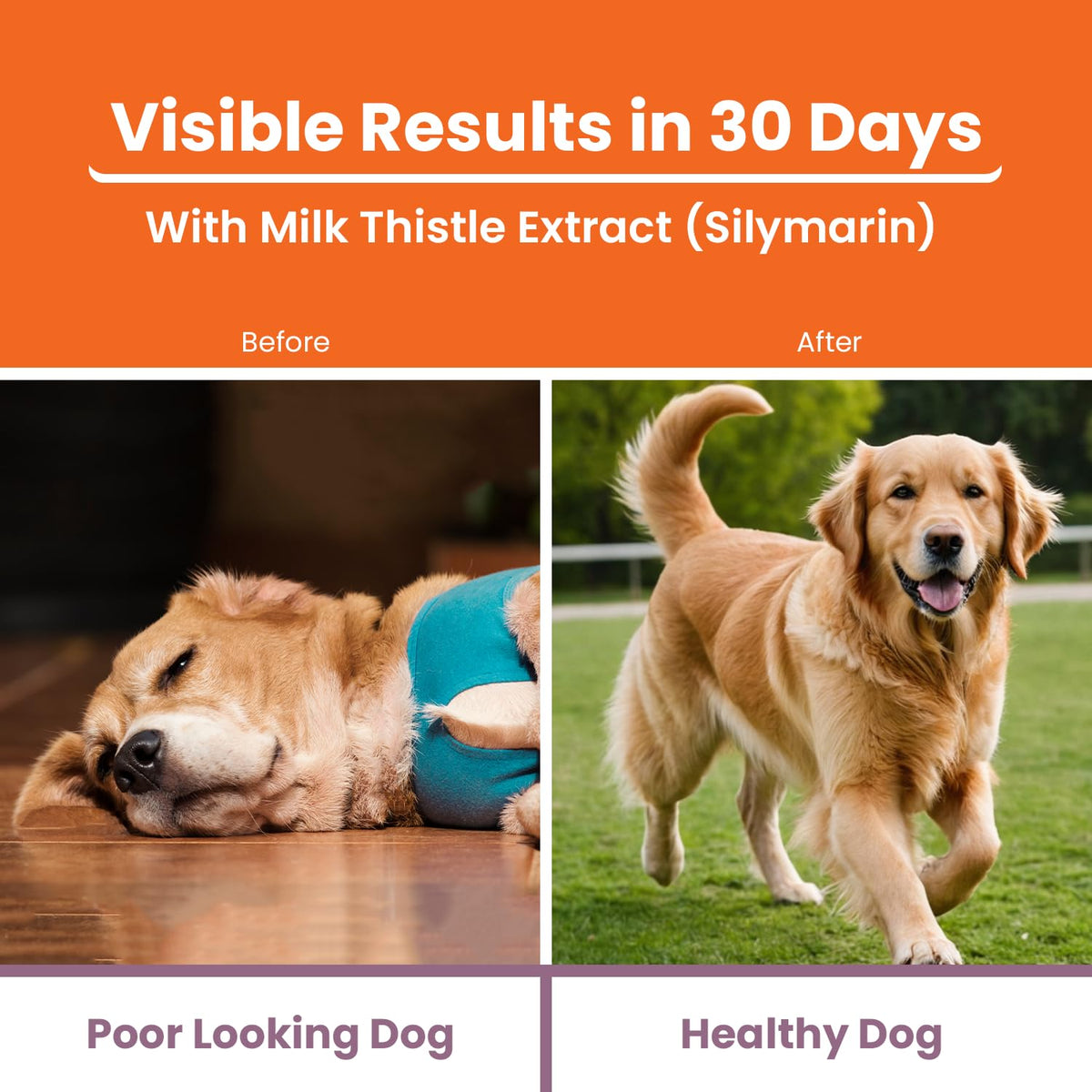 LICKICIOUS Liver Care Syrup for Dogs & Cats 100ml | with Milk Thistle (Silymarin) & Inositol | Supports Liver Health, Detoxification, Digestion & Appetite | Chicken Flavour Supplement/Tonic for Pets