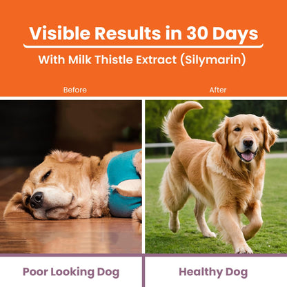 LICKICIOUS Liver Care Syrup for Dogs & Cats 100ml | with Milk Thistle (Silymarin) & Inositol | Supports Liver Health, Detoxification, Digestion & Appetite | Chicken Flavour Supplement/Tonic for Pets