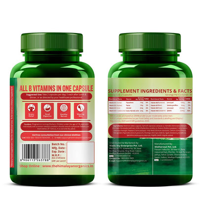 Vlado’s Himalayan Organics Plant-Based Vitamin B12 with B-Complex & Moringa | Energy, Nerve & Brain Support | 60 Veg Capsules