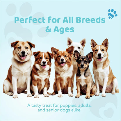 PETOSKA Duck Sticks- 100gms | Dog Treats Made with Duck Meat & Chicken Meat | Highly Nutritious | Easy to Digest | Healthy Skin & Coat | Suitable for All Dog Breeds | Pack of 1