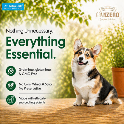 Grain Zero Dog Fresh Food Tetra Pak Lamb & Vegetables, for Adult & Puppy, 350g | Supports Joint & Health | Supports Immune System | Anti Inflammatory Properties | Ready to Serve | One Pack One Meal