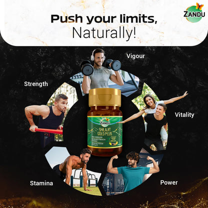 Zandu Shilajit Gold Plus| Scientifically tested advanced formula| Made using 100% Pure Himalayan Shilajit, Gold & 9 Ayurvedic herbs |Enhances strength, stamina, vigour, vitality and power | 20 Caps