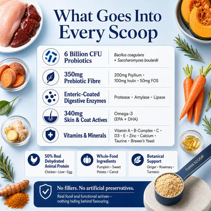 Whisker and Wilde Dog Gut Health Supplement Powder | 6 Billion CFU Probiotics for Paw Licking, Loose Stools, Gas and Itching | with Prebiotics, Digestive Enzymes and Omega-3 | 300g, 30 Daily Scoops