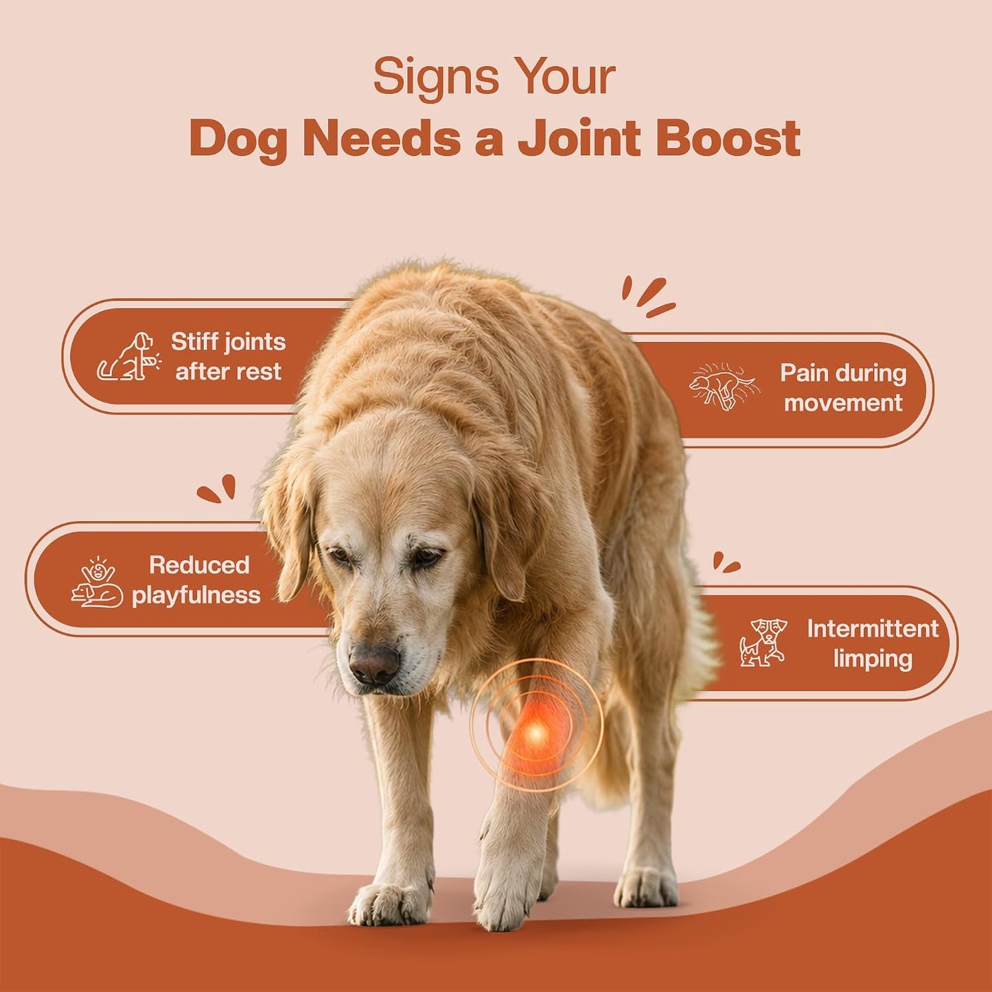 dog joint supplement, dog hip and joint supplement, dog joint chews, glucosamine for dogs, chondroitin for dogs, collagen for dogs, MSM for dogs, green lipped mussel for dogs, dog mobility supplement, dog joint support, dog soft chews, BLEP