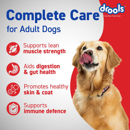 Drools Adult Dry Dog Food 10kg | Chicken Flavour | Optimum Protein & Energy Ratio | High-Grade Protein with Vitamins & Minerals | Easily Digestible for Optimum Performance
