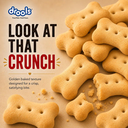 Drools All Life Stages Dog Treat Biscuits 800g Jar | Real Chicken Flavour | All Breed Formula | Promotes Lustrous Skin & Coat | Vitamins & Minerals | Reduces Tartar Build Up