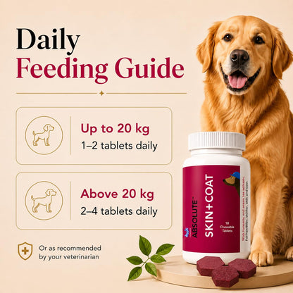Drools Absolute Dog Supplement Tablet, Skin + Coat 400g 110 Pieces Jar | Turmeric Flavour | Supports Skin & Food Sensitivity | Nutrients Rich Botanical