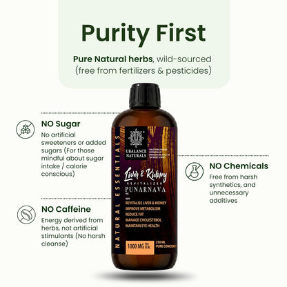 Liver & Kidney Revitalizer | Detox Support 250 ML I Liquid Ayurvedic Punarnava | Supports Liver & Kidney Health, Fluid Balance, Detox & Less Bloating | Men & Women