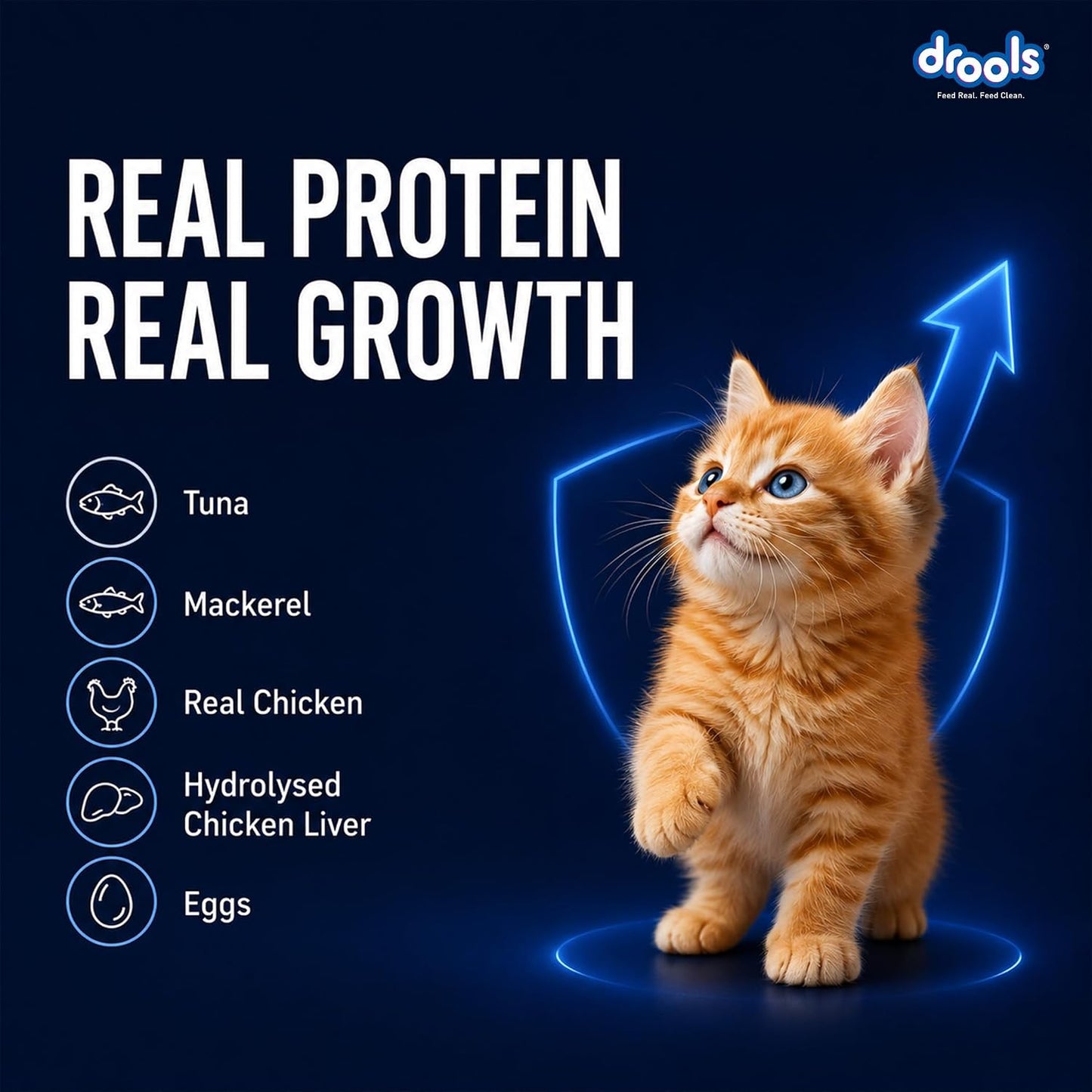 Drools Kitten Wet Mousse 80g | Ocean Fish | High Protein | Promotes Hydration & Easy Digestion | Grain Free | No Artificial Additives | Enriched with Vitamins & Antioxidants