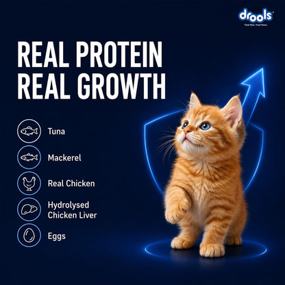 Drools Kitten Wet Mousse 80g | Ocean Fish | High Protein | Promotes Hydration & Easy Digestion | Grain Free | No Artificial Additives | Enriched with Vitamins & Antioxidants