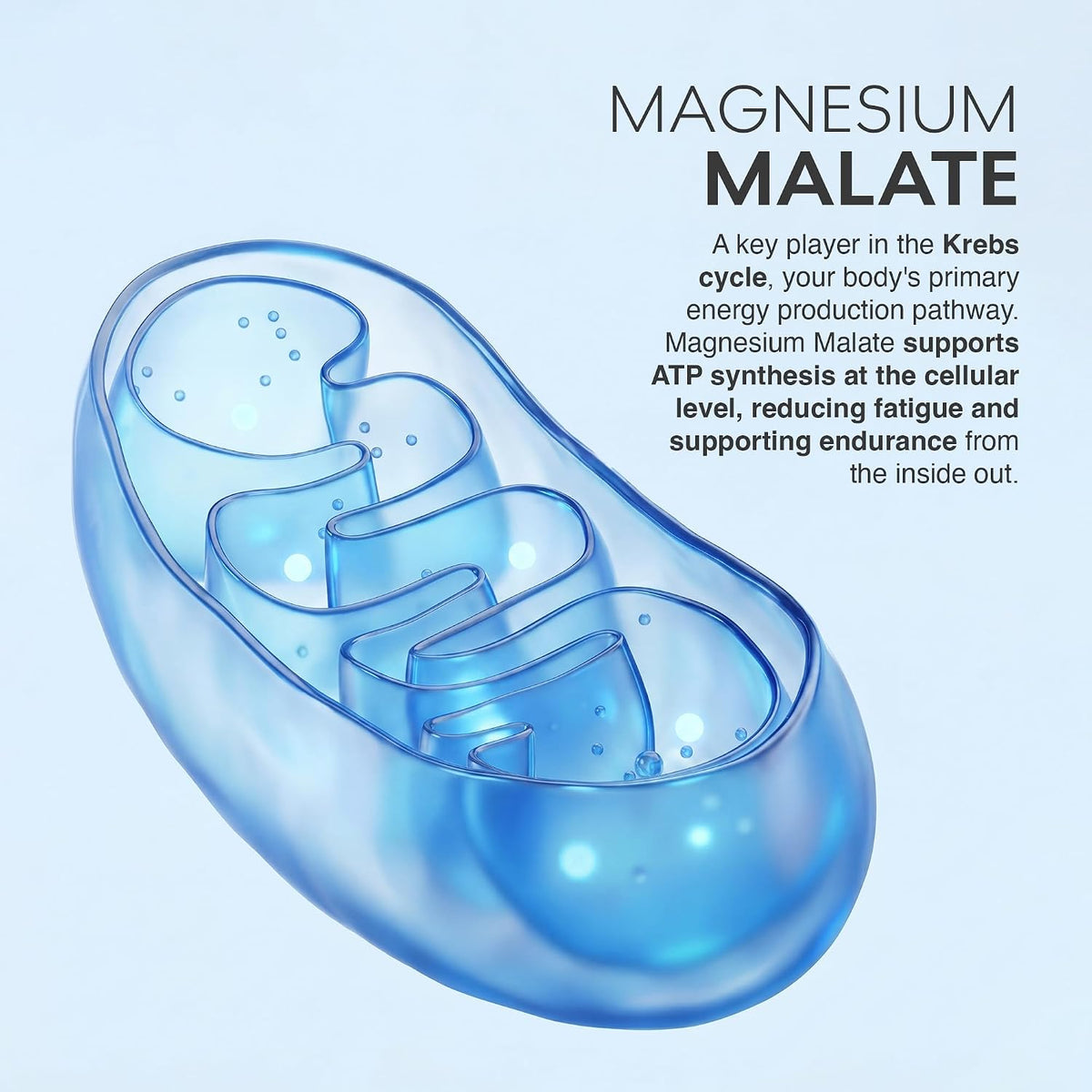 MuscleBlaze Magnesium Matrix, 60 Tablets 440mg Elemental Magnesium | Supports Performance, Recovery & Sleep