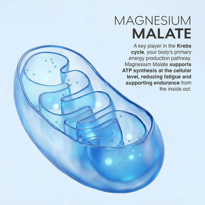 MuscleBlaze Magnesium Matrix, 60 Tablets 440mg Elemental Magnesium | Supports Performance, Recovery & Sleep