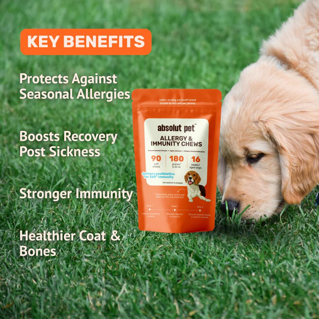 Absolut Pet Postbiotic Immunity Dog Chews, Allergy & Recovery | 90 Chews | Postbiotic chews that strengthen immunity, reduce allergies, aid recovery & improve nutrient absorption in dogs.