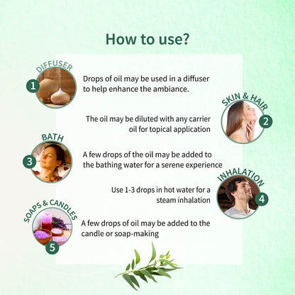 Ayouthveda Eucalyptus (Nilgiri) Essential Oil for Skin & Hair | Aromatherapy Kit for Stress Relief & Relaxation | 100% Pure & Natural Therapeutic Grade |Can Be Used as Air purifier (Pack Of 1; 15ml)