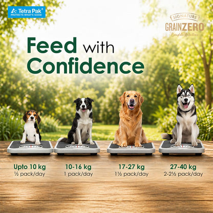 Grain Zero Dog Fresh Food Tetra Pak Lamb & Vegetables, for Adult & Puppy, 350g | Supports Joint & Health | Supports Immune System | Anti Inflammatory Properties | Ready to Serve | One Pack One Meal