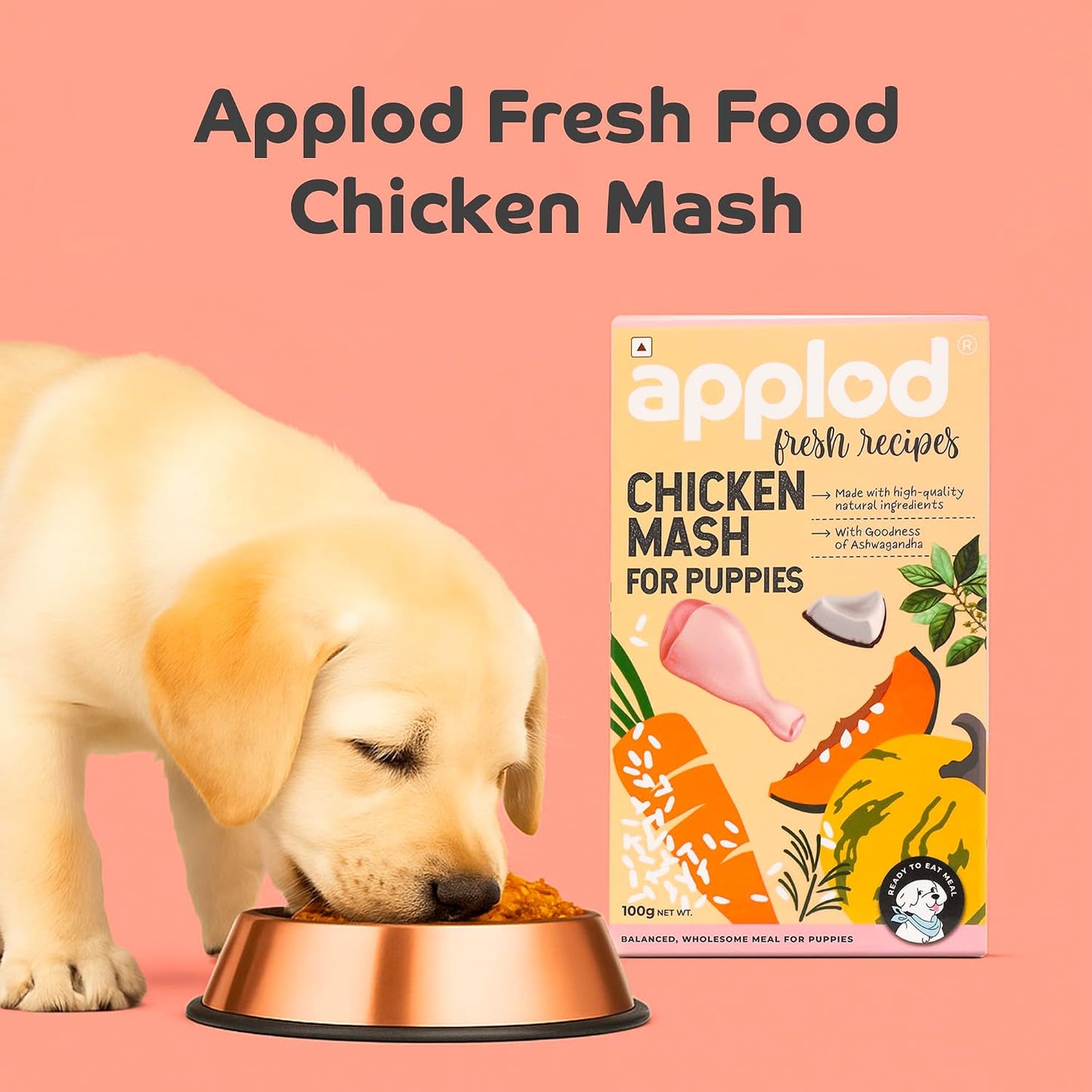 applod Chicken Mash Fresh Dog Food for Puppies | Soft Easy-to-Digest High-Protein Chicken Meal | Supports Growth, Immunity & Healthy Development | 300g