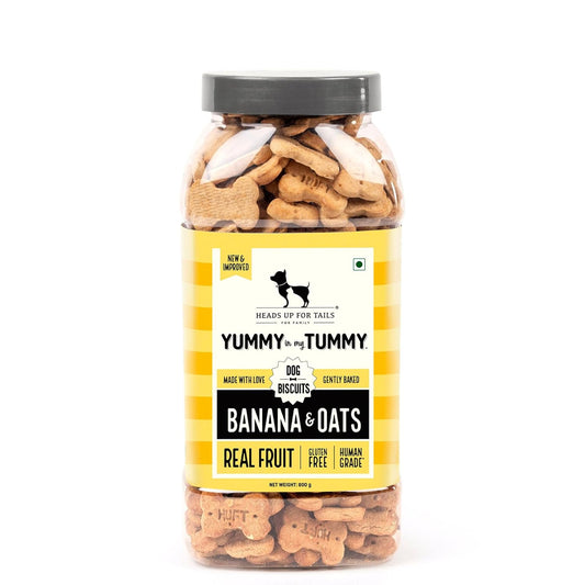Yummy in My Tummy by HUFT Banana & Oats Dog Biscuits – 800 gm | Vegetarian Crunchy Treats for Dogs | Healthy Training Snack for Puppies & Adult Dogs | Easy to Digest | Suitable for All Life Stages