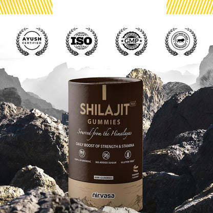 Nirvasa Shilajit/Shilajeet Plus Gummies (2x60 Gummy) | Sugar-Free Energy, Stamina & Endurance Booster | Supports Strength, Immunity & Muscle Recovery | With Fulvic Acid & Essential Nutrients