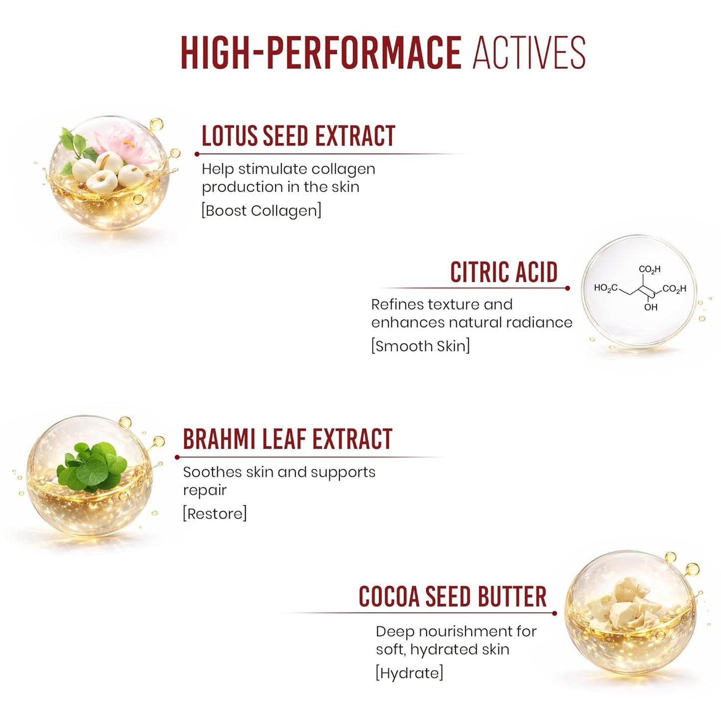 Mitchell USA Night Therapy Anti Aging Night Cream for Women & Men | Reduce Wrinkles & finelines | Lotus Seed Extract & Brahmi Extract | Cocoa Seed Butter Citric Acid | For All Glowing Skin Types | 50g