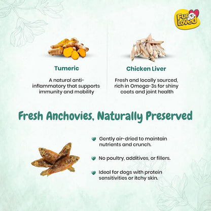 Fur Loved Anchovies & Turmeric Dog Treats | Natural Omega|3 Rich Snacks (30 GM)|Pack_1|