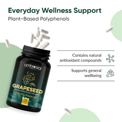 Grapeseed supplement bottle with text about everyday wellness support and plant-based polyphenols on a light green background.