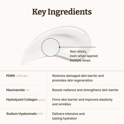 Dr.Reju-All Advanced PDRN Rejuvenating Cream | Korean PDRN Face Cream with 99% Pure Salmon DNA, Niacinamide & Collagen | Deep Hydration, Anti-Aging, Skin Repair, Elasticity Boost, Barrier Repair & Brightening Moisturizer (20ml)