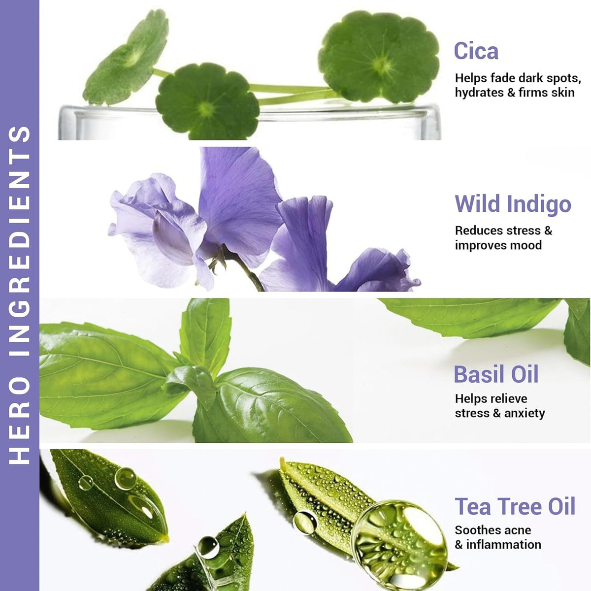Herbal ingredients with their benefits on a white background