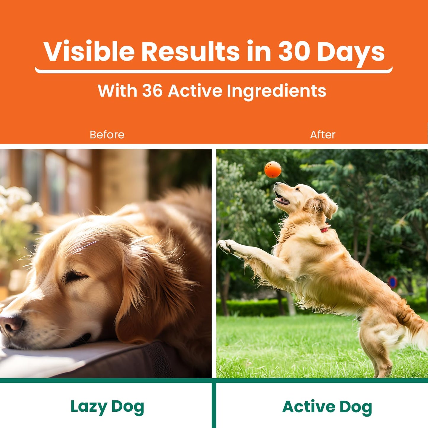 LICKICIOUS Multivitamin Syrup for Dogs & Cats 200ml | 36 Active Ingredients for Improved Energy, Boost Immunity | Vitamins & Minerals for Enhanced Growth | Chicken Flavour Supplement/Tonic for Pets