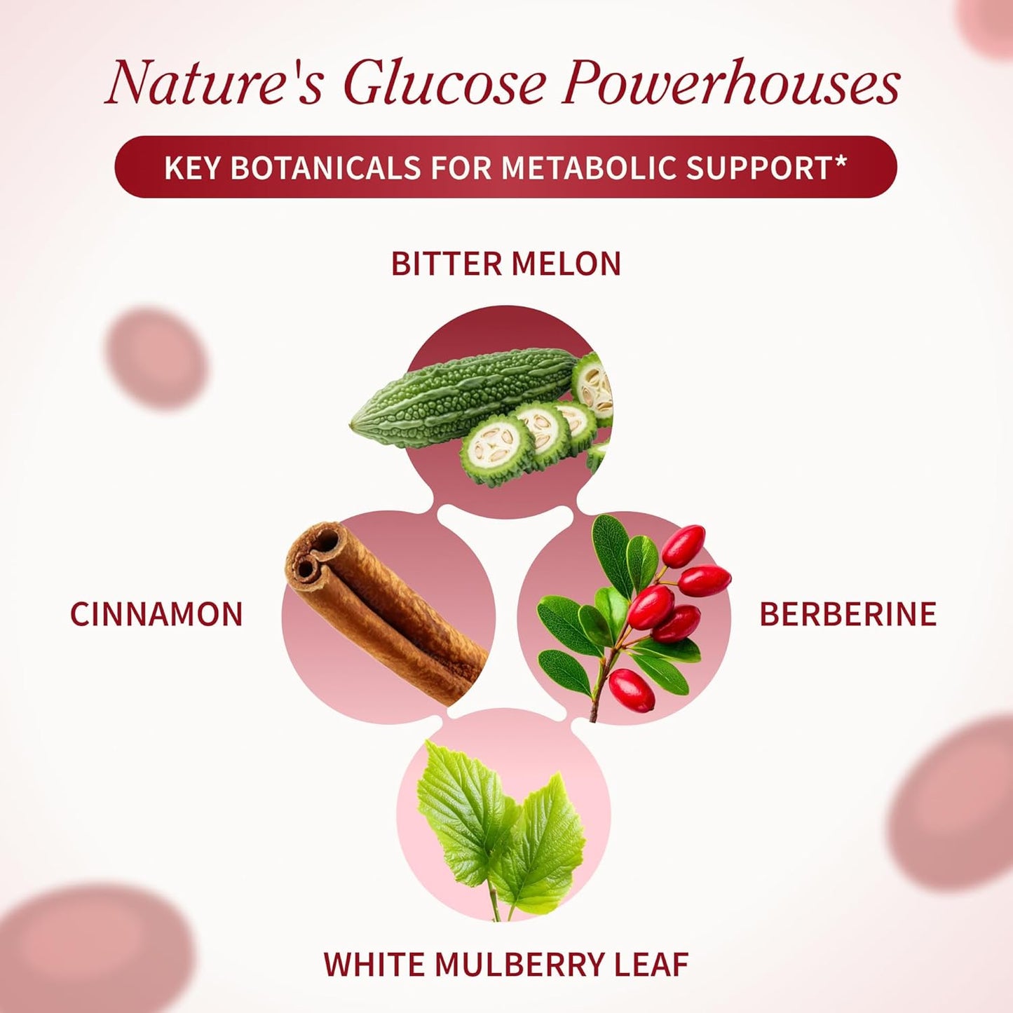 Illustration of key botanicals for metabolic support with bitter melon, cinnamon, berberine, and white mulberry leaf on a light pink background.