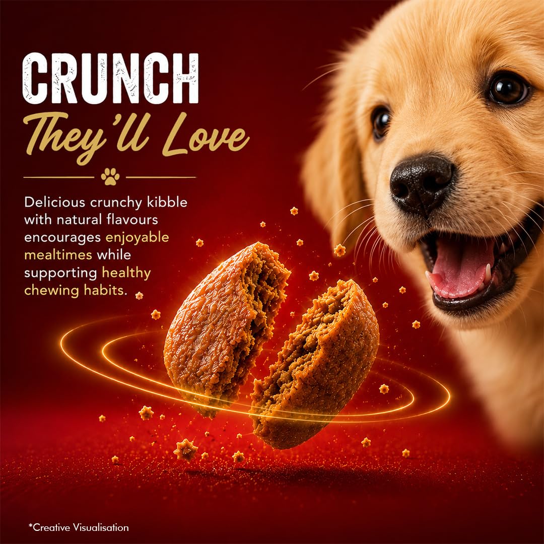 Drools Puppy Dry Dog Food 1kg | Meat and Milk Flavour | Supports Healthy Brain Development and Cognitive Function | Antioxidants | Chelated Minerals | Better Bioavailability of Minerals